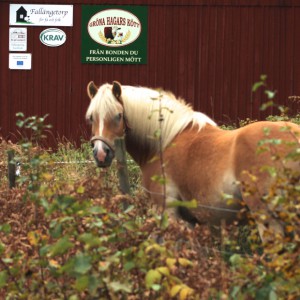 Välkomna till Fallängetorp