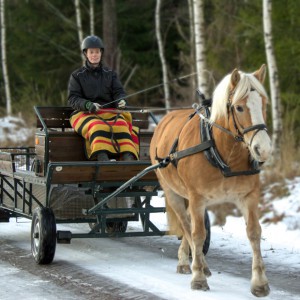 Häst och vagn i Fallängetorp.