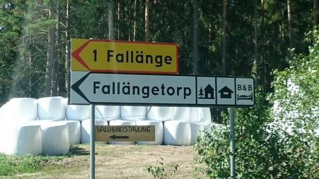 Vallhundstävling i Fallängetorp.