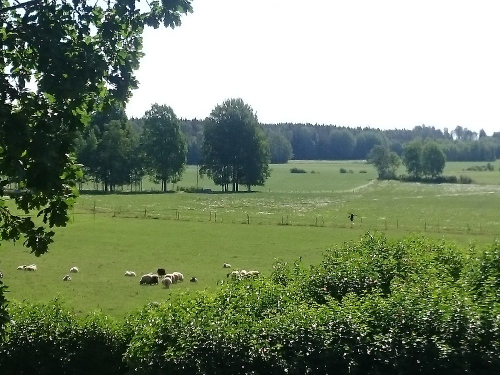 Utsikt från trappen, vill du prova på att vara Bonde för en dag? Utsikt från trappen, vill du prova på att vara Bonde för en dag?